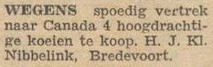 H.J. Klein Nibbelink, Bredevoort - De Graafschapper, 09-04-1948