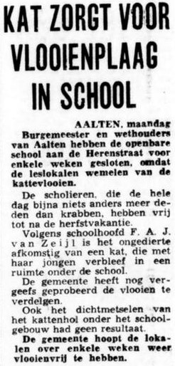 Vlooienplaag OLS Herenstraat, Aalten - De Telegraaf, 14-10-1974
