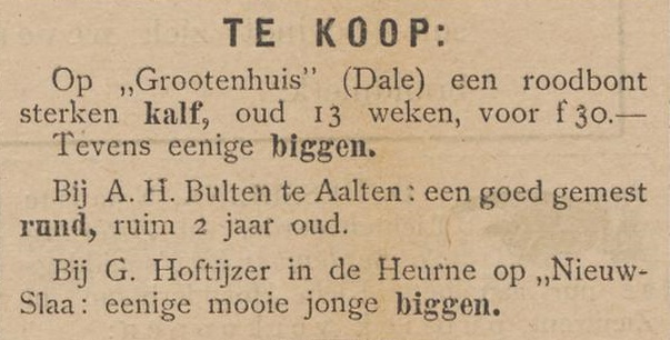 19-09-1896 Nieuw Slaa, Heurne
