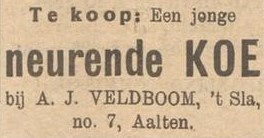 't Slaa, Heurne - Aaltensche Courant, 10-05-1929