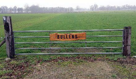 Bullens, Lintelo - Foto: Geert Wevers