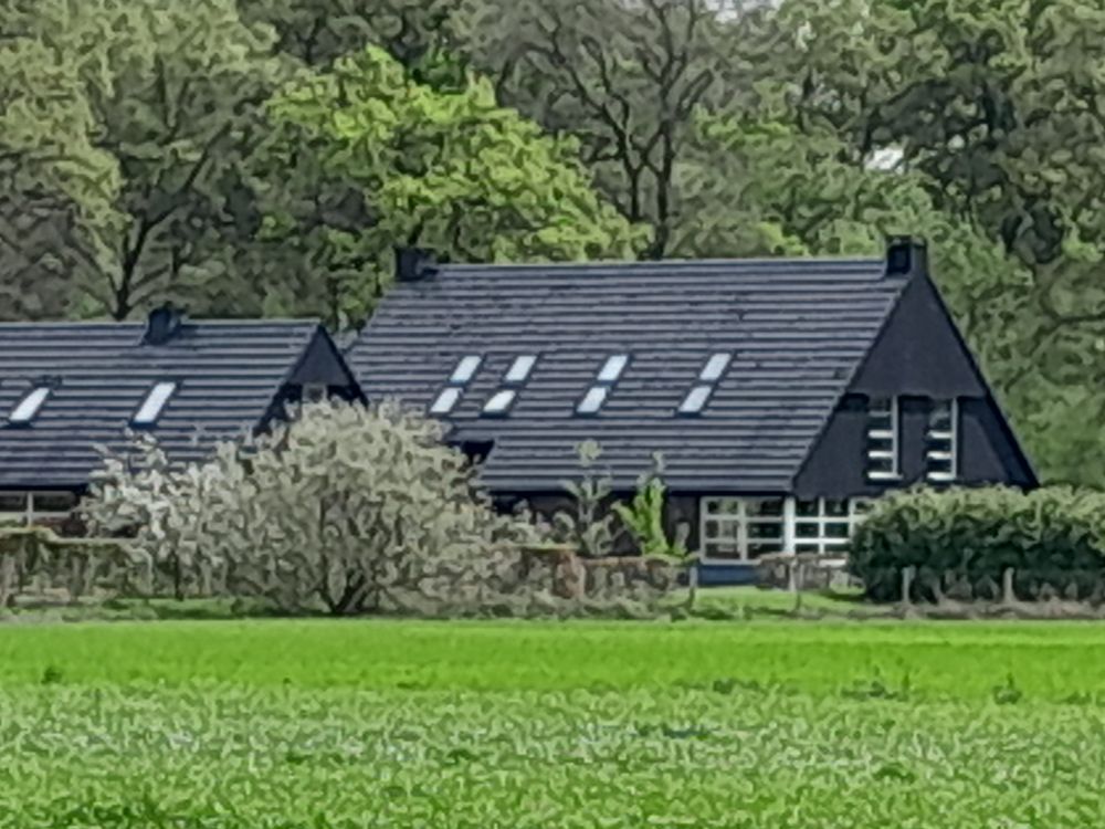Weidelust