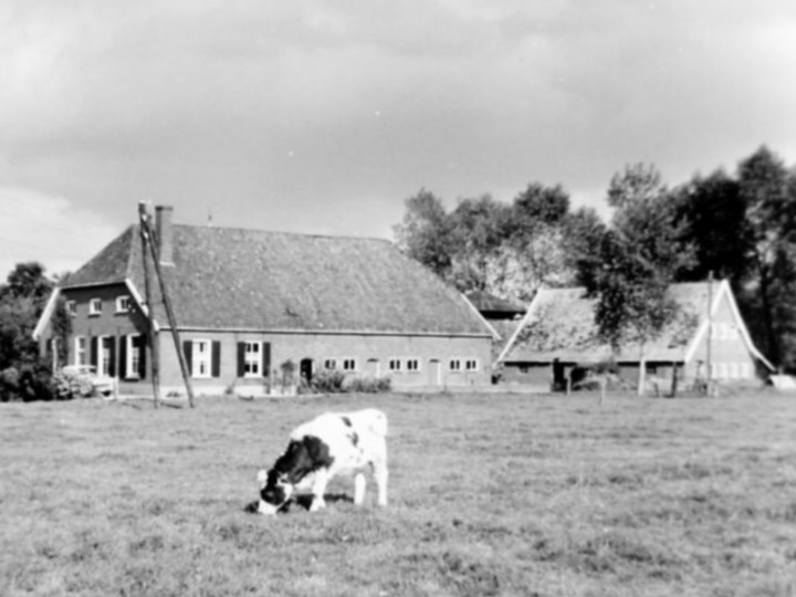 Hunink - Barloseweg 6, Dale (fam. Prinsen) ca. 1969