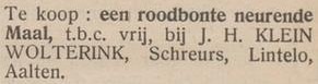 Te koop: een roodbonte neurende Maal, t.b.c. vrij, bij J.H. KLEIN WOLTERINK, Schreurs, Lintelo, Aalten.