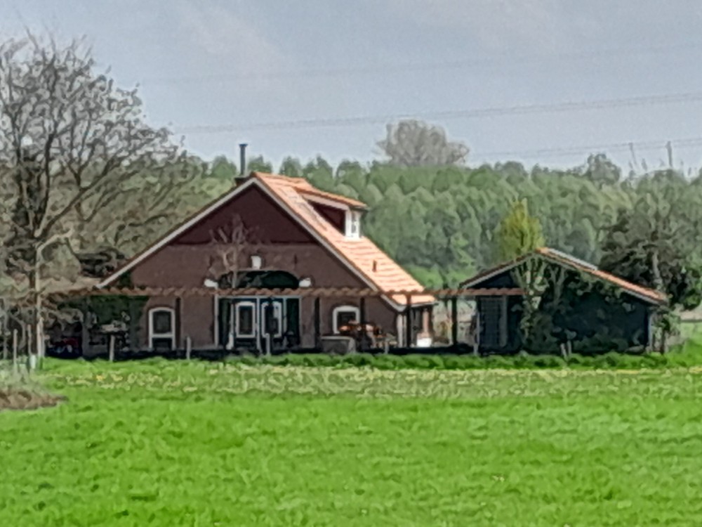 Hoenink Ni-jhuus
