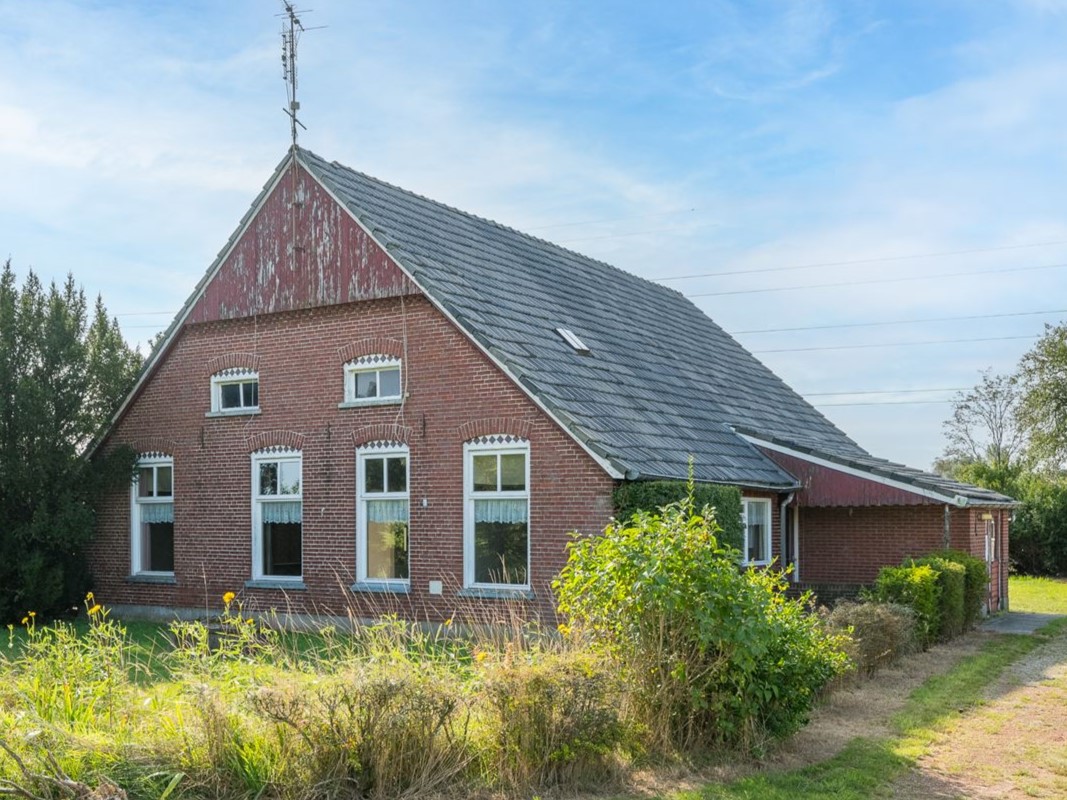 De Horst