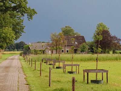 Kruisdijk 10, IJzerlo (De Woerd)