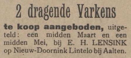 Nieuw-Doornink, Lintelo - Aaltensche Courant, 24-02-1909