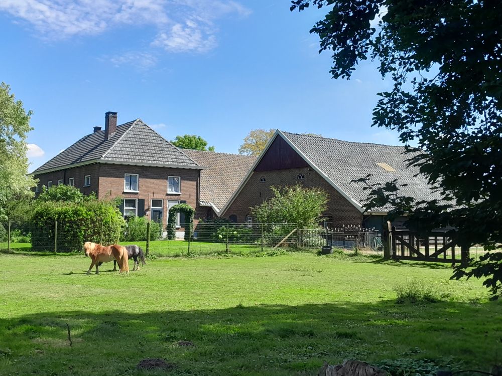 Steengroeve