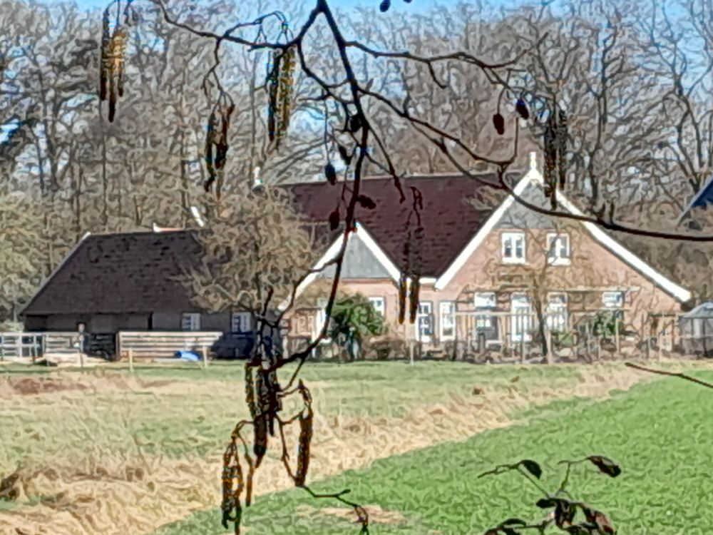 Oud Rensink (Tuunterboer)