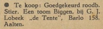 Tente, Barlo - Aaltensche Courant, 09-11-1945
