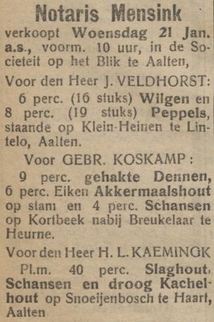 Snoeijenbosch, Haart - Aaltensche Courant, 09-01-1920