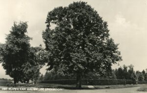 De Lindeboom, het wapen van Aalten