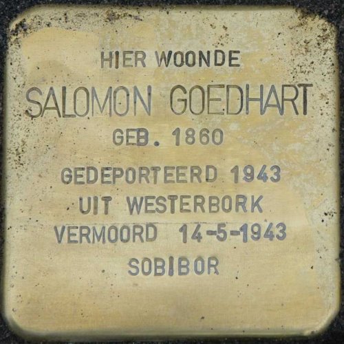 Stolperstein Salomon Goedhart - Hogestraat 94, Aalten
