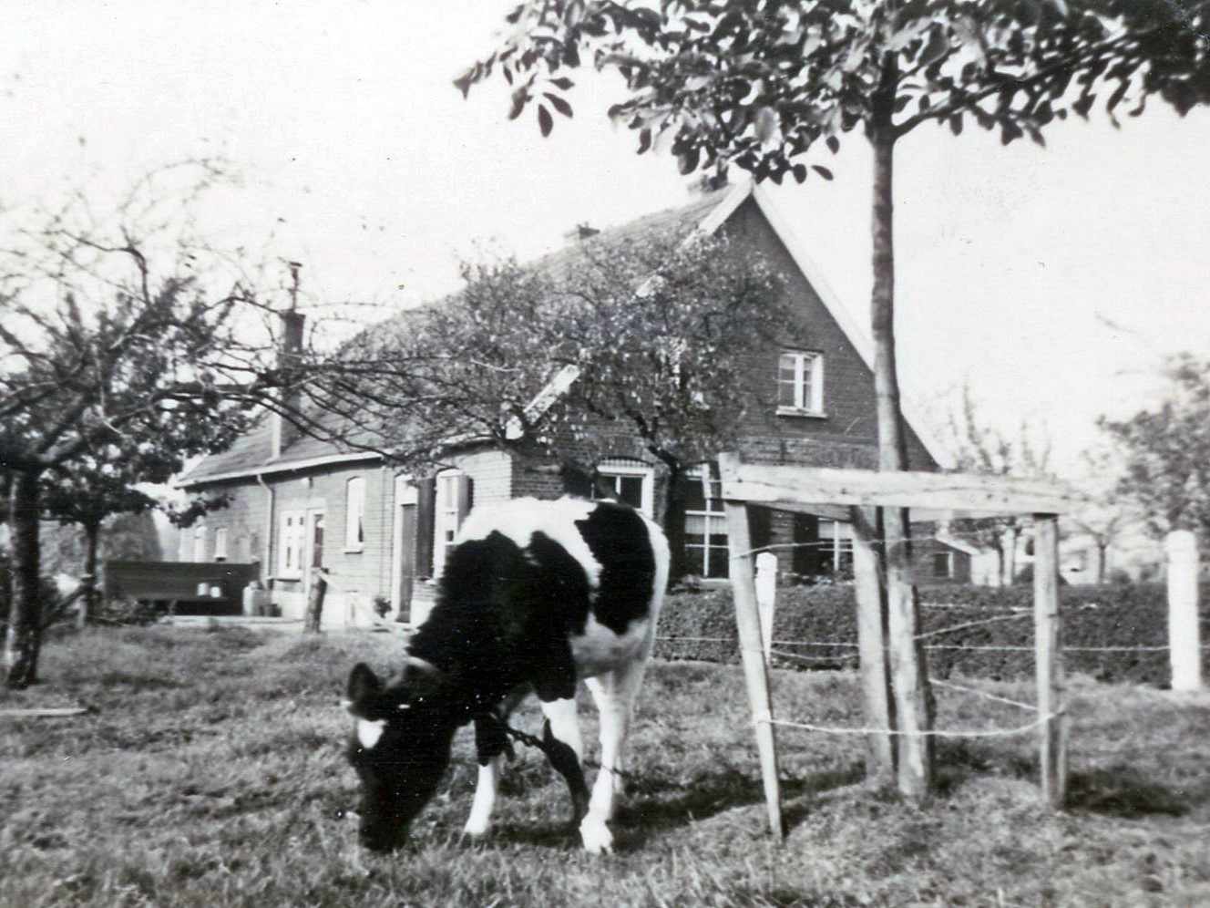 Admiraal de Ruyterstraat 102, Aalten (Ter Haar)