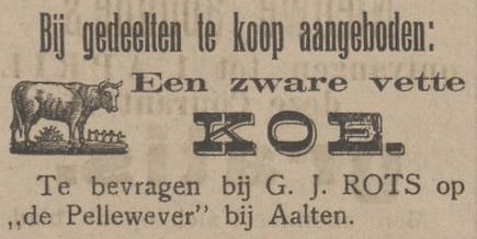 Pellewever, Aalten - Aaltensche Courant, 03-03-1909