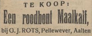 Pellewever, Aalten - Aaltensche Courant, 24-02-1920