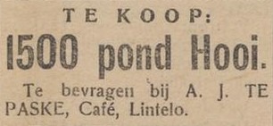 Varsseveldsestraatweg 69, Lintelo (Café Te Paske) - Aaltensche Courant, 20-06-1919