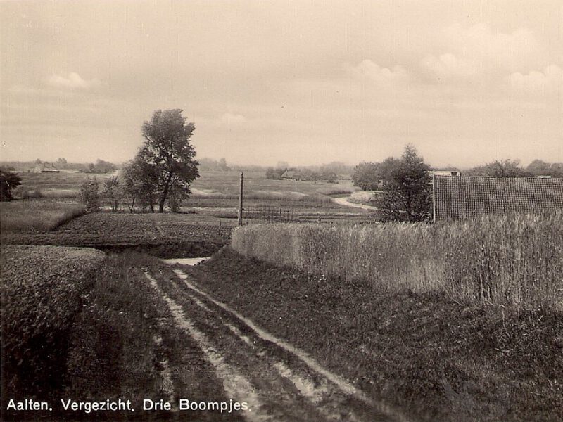 Drie Boompjes, Aalten