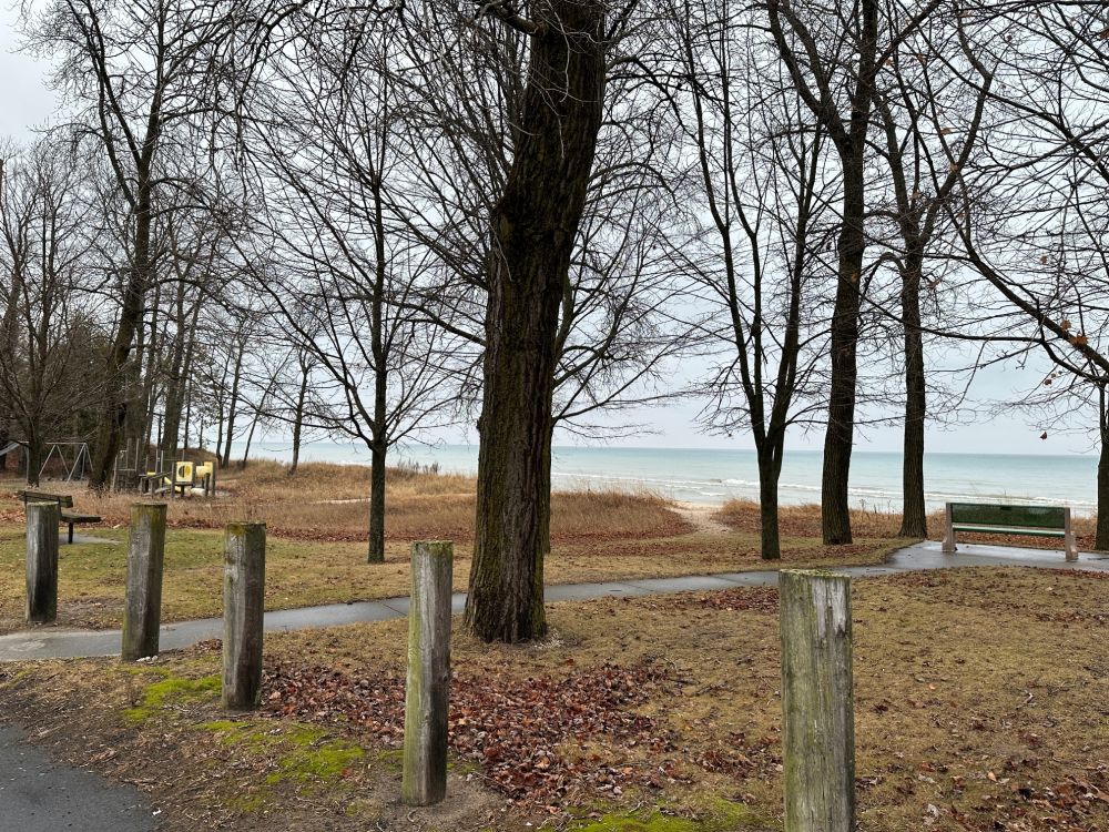 Amsterdam Park en Strand, 2024 (Foto: Kendra A. Kennedy)