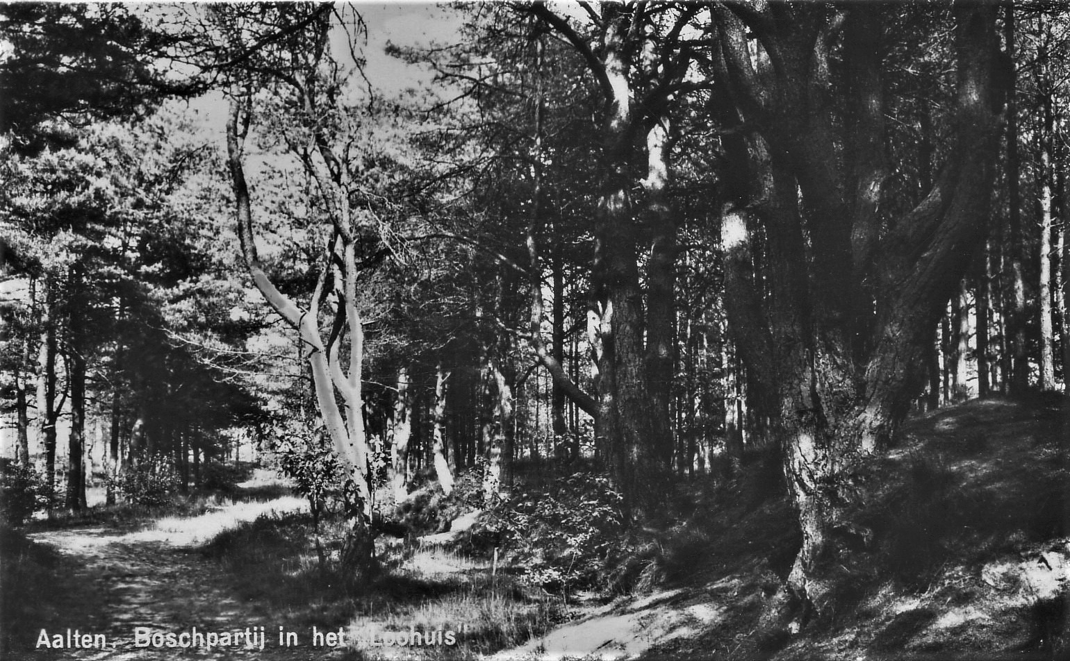 Aalten, Boschparij in het Loohuis