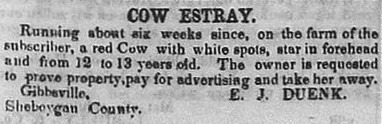 Duenk, Gibbsville - Sheboygan Nieuwsbode, 29 juni 1852